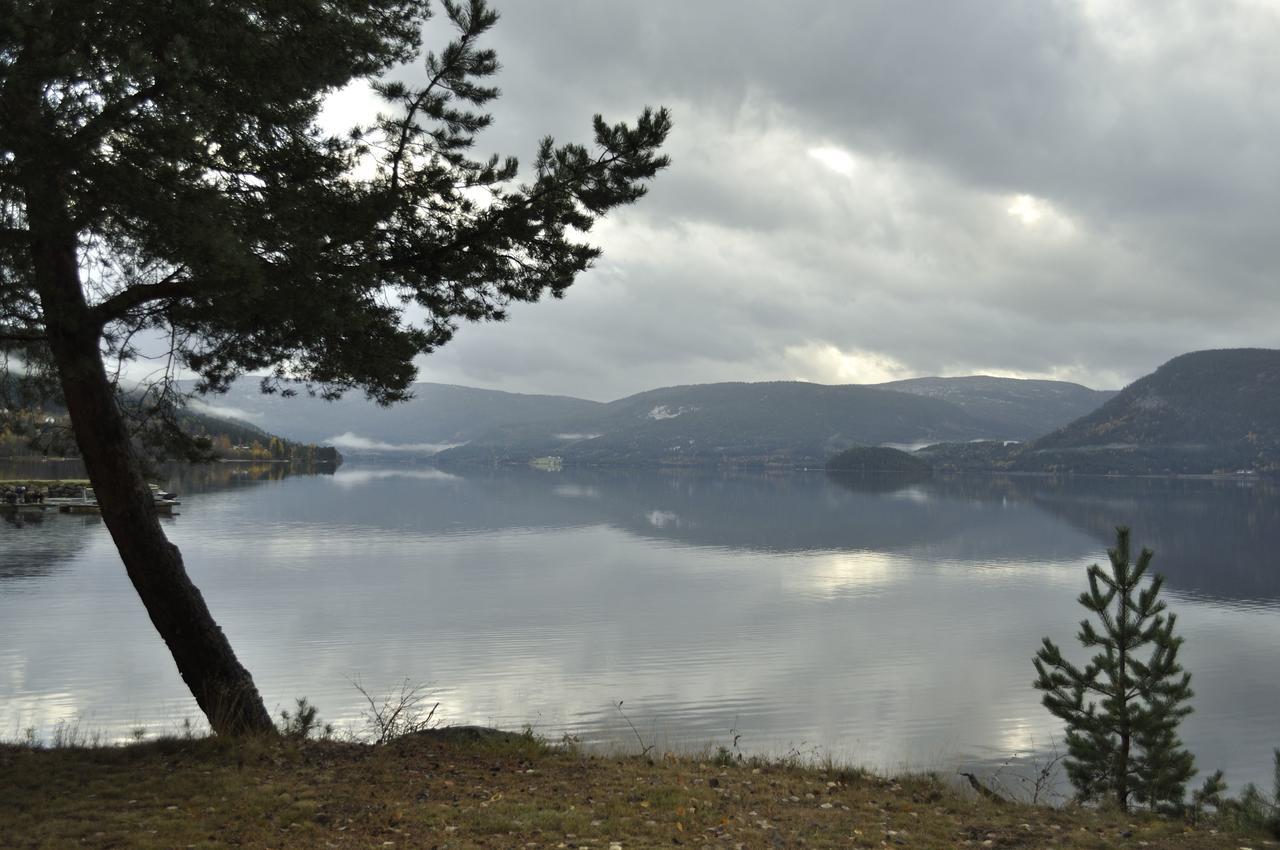 Fyresdal Gjestehus Moland Dış mekan fotoğraf